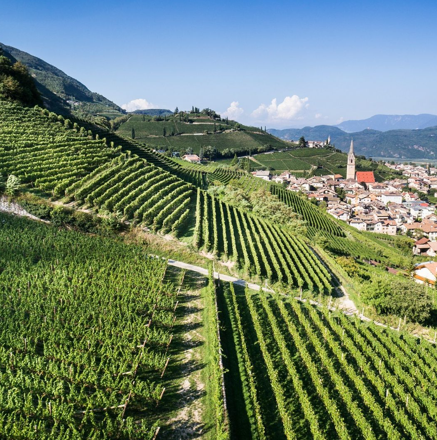 ⛅雲の上から来たワイン😍エレナ・ヴァルヒ社5代目のジュリアさん来日中👏

世界中で大絶賛＆当社内セミナーの出席率もまれにみる高さ😉

じめじめを吹き飛ばして、涼やかな雲の上へ誘ってくれる⛅✨この時期のイチ推しワインです😄

jetlc.co.jp/wine/brand/ele…

<a href="/ElenaWalch/">Elena Walch</a> 
#イタリアン 
#梅雨
#雨