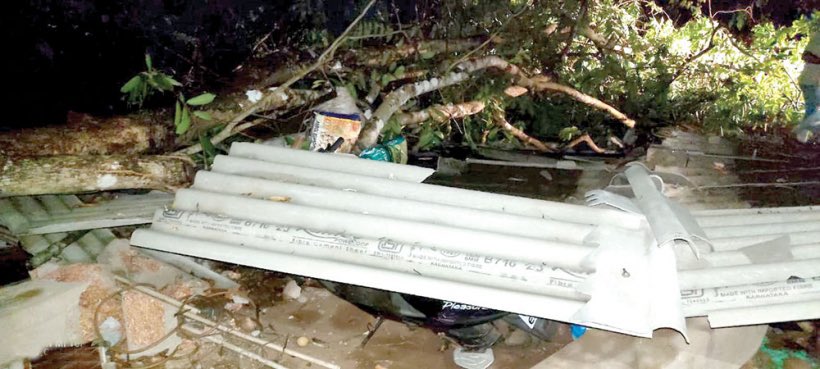 oheraldogoa's tweet photo. #Tragedy strikes Betki family, mom & son die in #treecrash
Read: https://t.co/exi7PvKGRC
#Goa #News https://t.co/Ip6L8GW3QN