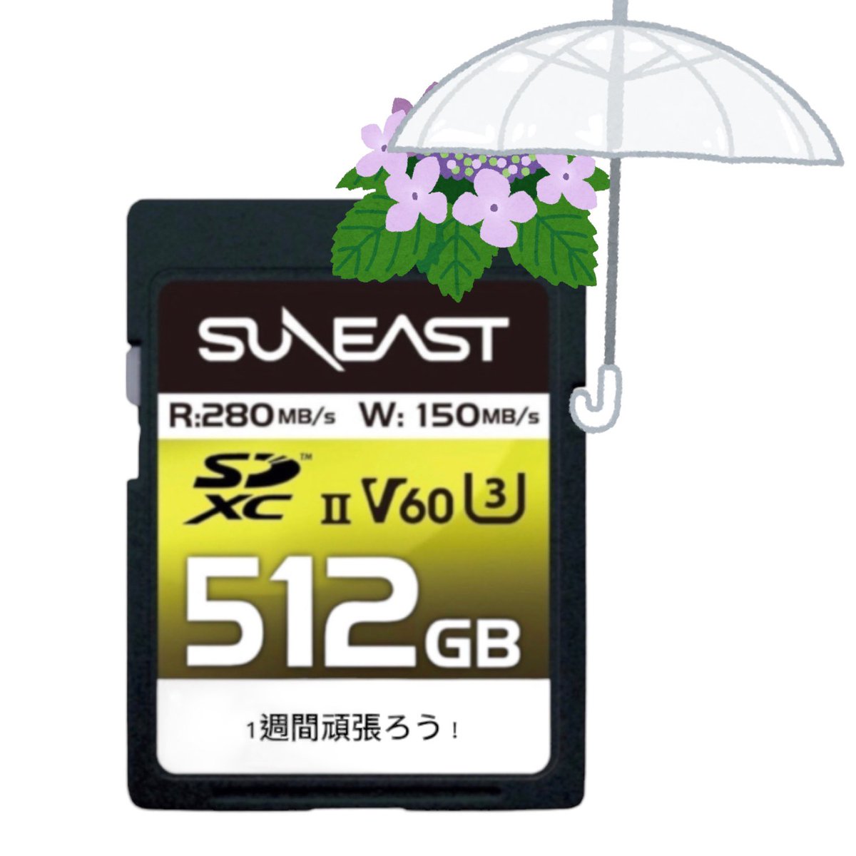 SUNEAST_UL_PRO's tweet photo. 世界、おはようございます！
今日はしっかり雨の東京です🗼☂️
1週間のスタートで足元が
びっしょりですが、
元気に今日も頑張りましょうね😊
今日も素敵な1日を！
#ULTIMATEPRO
#企業公式つぶやき部
#紫陽花と傘アート https://t.co/9kJ45eP1bd