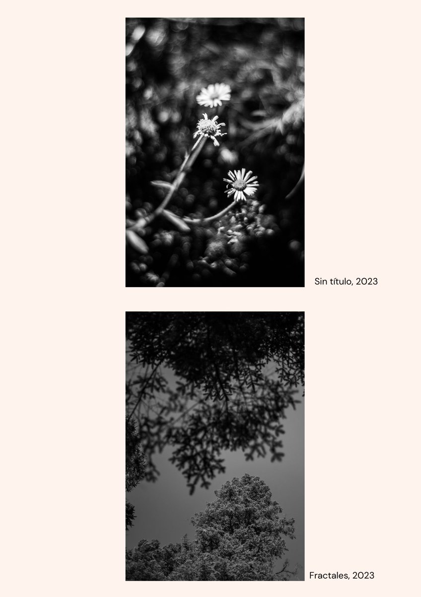 soymayolo's tweet photo. Por eso, estoy organizando una venta de prints con fotos que he tomado a lo largo de los años. Están impresas en papel Hahnemühle y están hechas con mucho cariño. Si pueden apoyar y compartir lo voy a agradecer muchísimo. https://t.co/5IwGJ62FYS