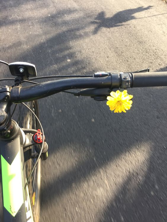 mika15278's tweet photo. "Pedaling into the Sunset: Embracing the Magic of Evening Rides".....🚴 https://t.co/TT4Gow9dbZ
