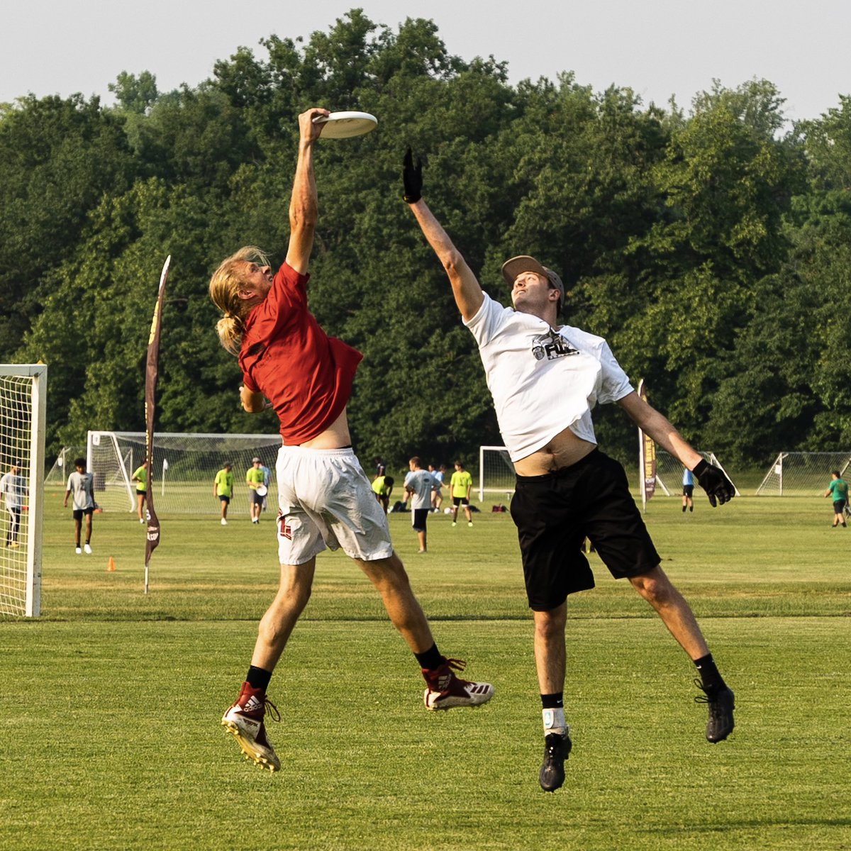 Fort Wayne Ultimate tweet media