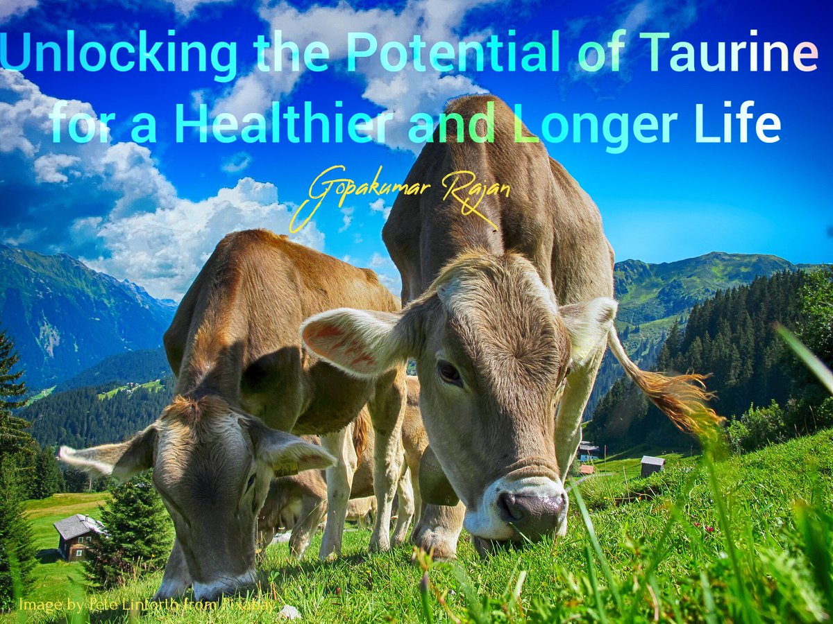 TeamOriel's tweet photo. health, wellness and nutrition: Unlocking the Potential of Taurine for a Healthier and Longer Life By Gopakumar Rajan : https://t.co/KwW5dz3l39 https://t.co/76UkRNaaXb