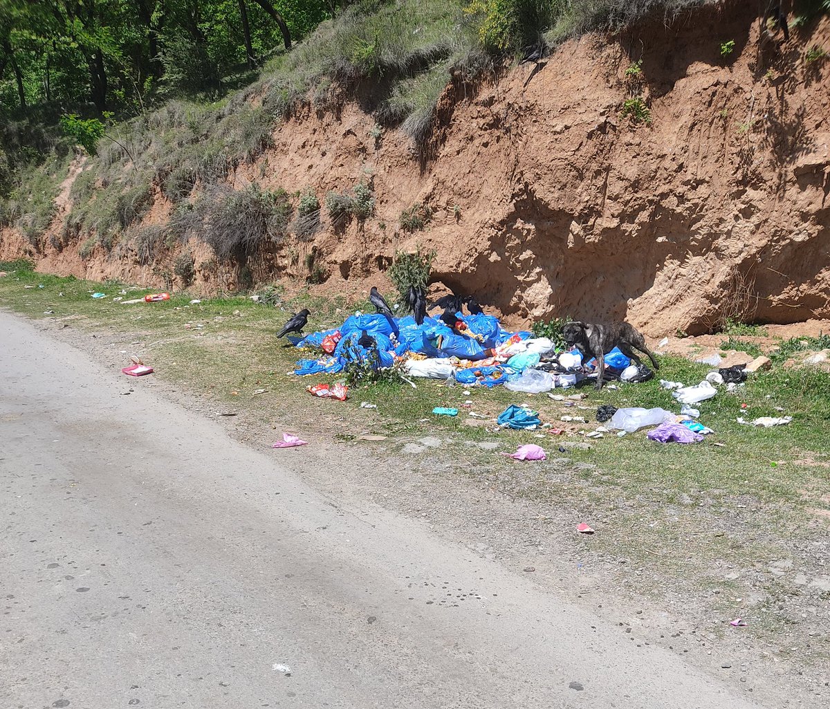 Spread Love not Waste...
#NatureisUS