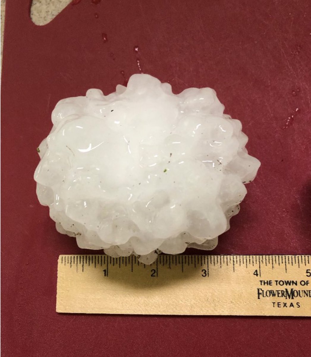 Tyler Valenciano on Twitter "ReedTimmerAccu JimCantore Grapefruit