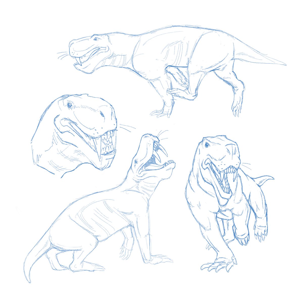 Sketch dump of Inostrancevia, a gorgonopsid stem mammal the size of a bear. Proving the sabretooth model is older then cats! #paleoart #paleoartist