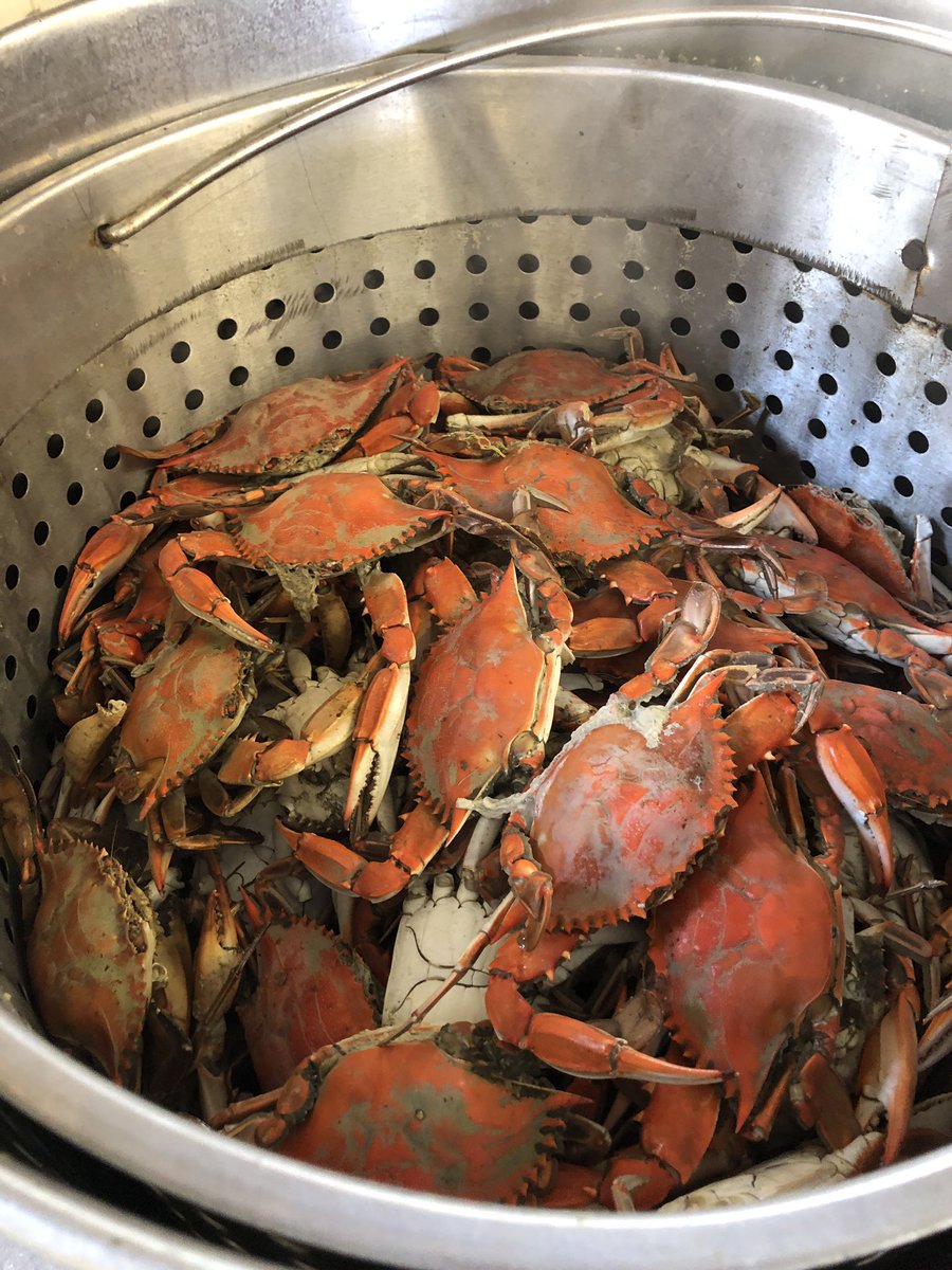 wright_iv's tweet image. Time to get busy