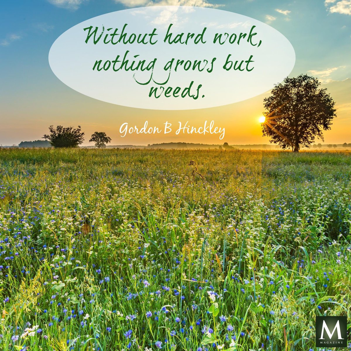 “Without hard work, nothing grows but weeds.” ~ President Gordon B. Hinkley

#HisDay #HearHim #TrustGod #GodLovesYou #ComeUntoChrist #CountOnHim #EmbraceHim #ChildOfGod #ShareGoodness #BestDay #TheChurchOfJesusChristOfLatterDaySaints