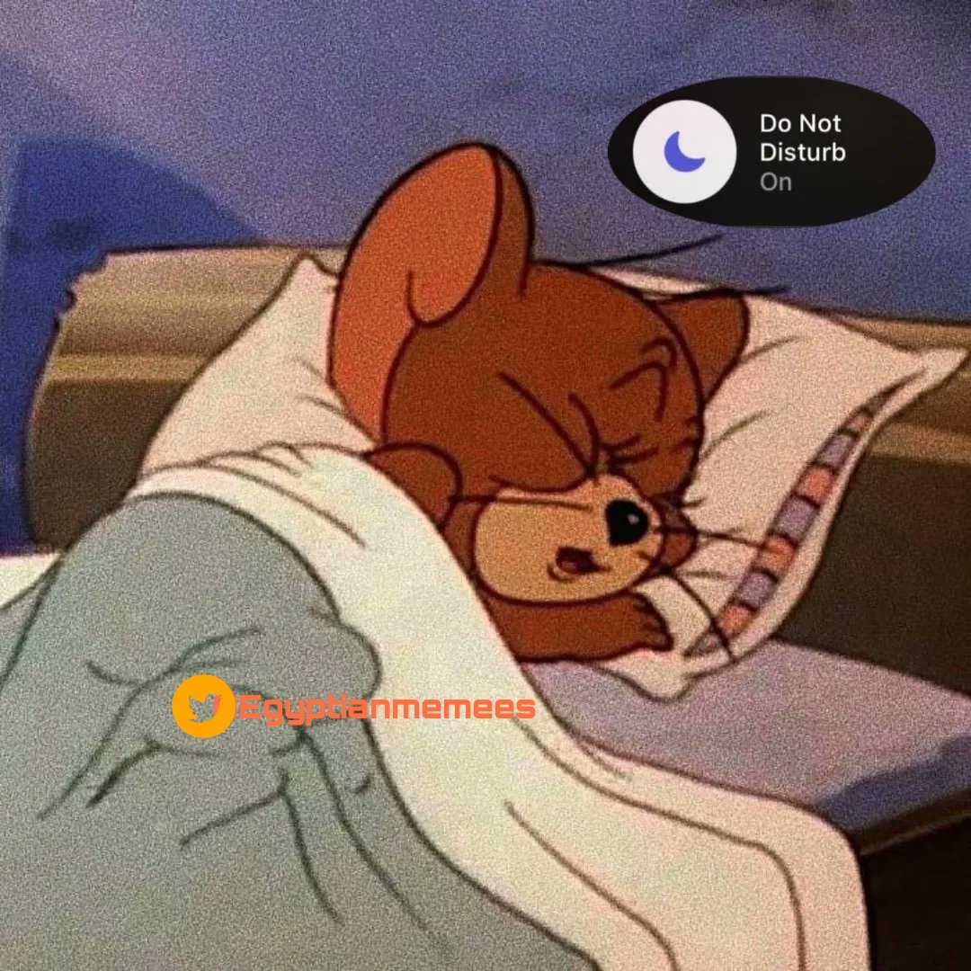 رن عليا بس وانا هصحي علطول
*انا*