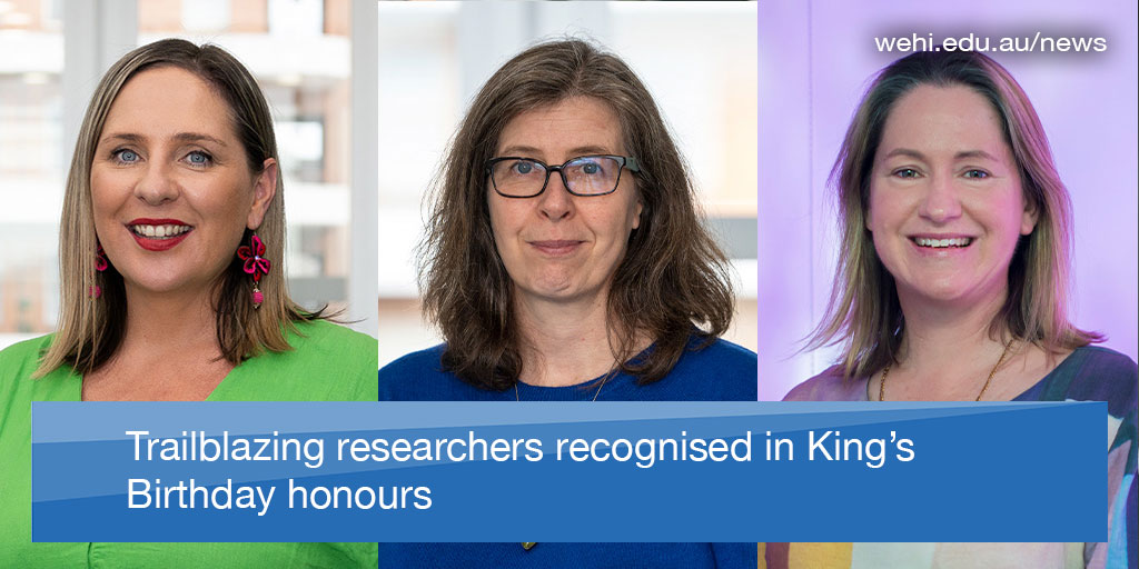 Congratulations to @DrMistyJenkins, @MelanieBahlo and @KRogers1001, recognised today in the King’s Birthday Honours for their dedicated service to science and the broader community. #WomenInSTEM #KingsBirthdayHonours @BrainCancerCtr More: wehi.edu.au/news/trailblaz…