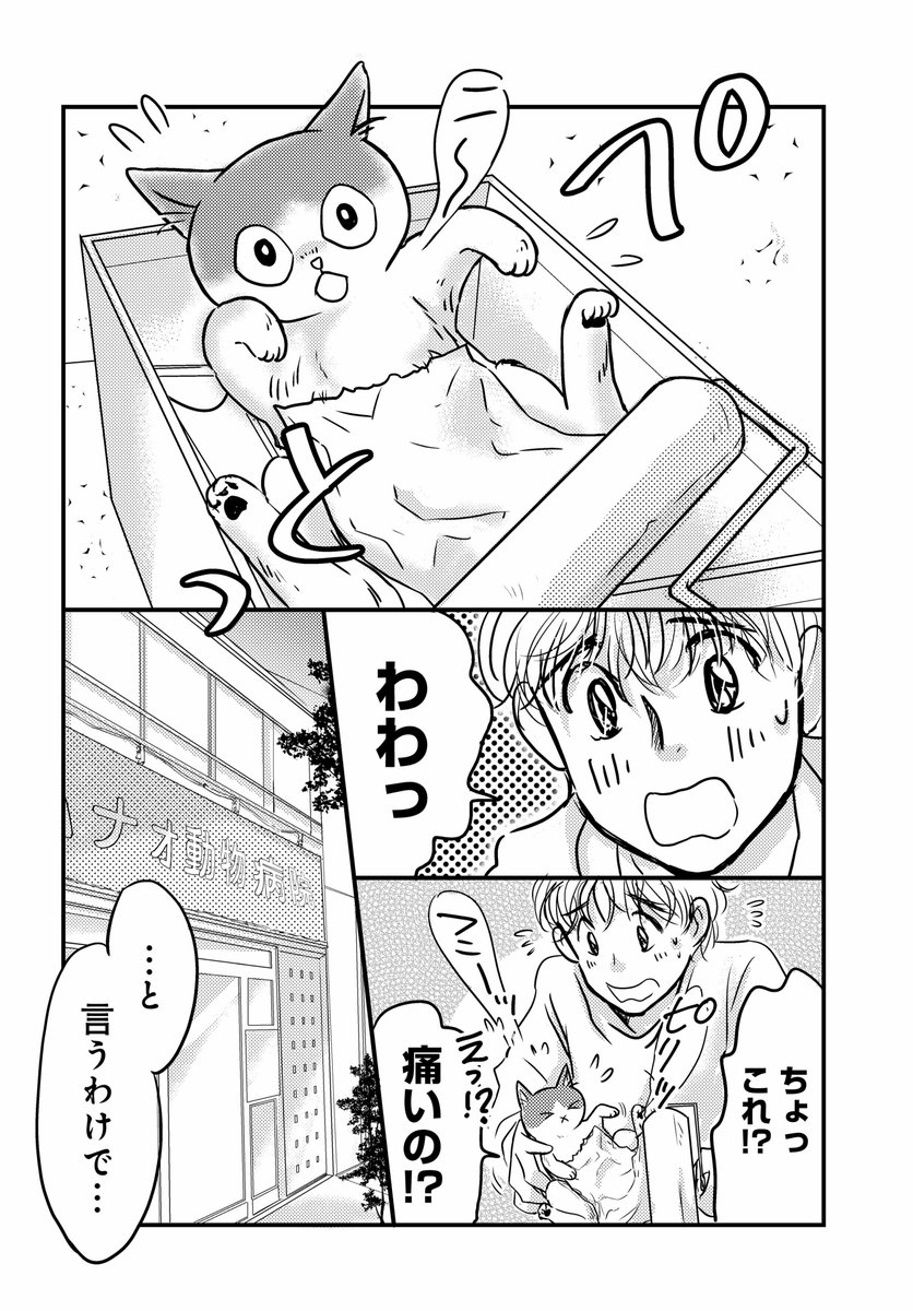 今日は #わんにゃんの日 可愛い子猫がもしケガをしたら…? 可愛い子猫のこころが初めてのエリザベスカラーに悪戦苦闘する #彼とねこが待っている。 のこのエピソードをどうぞ! #漫画が読めるハッシュタグ