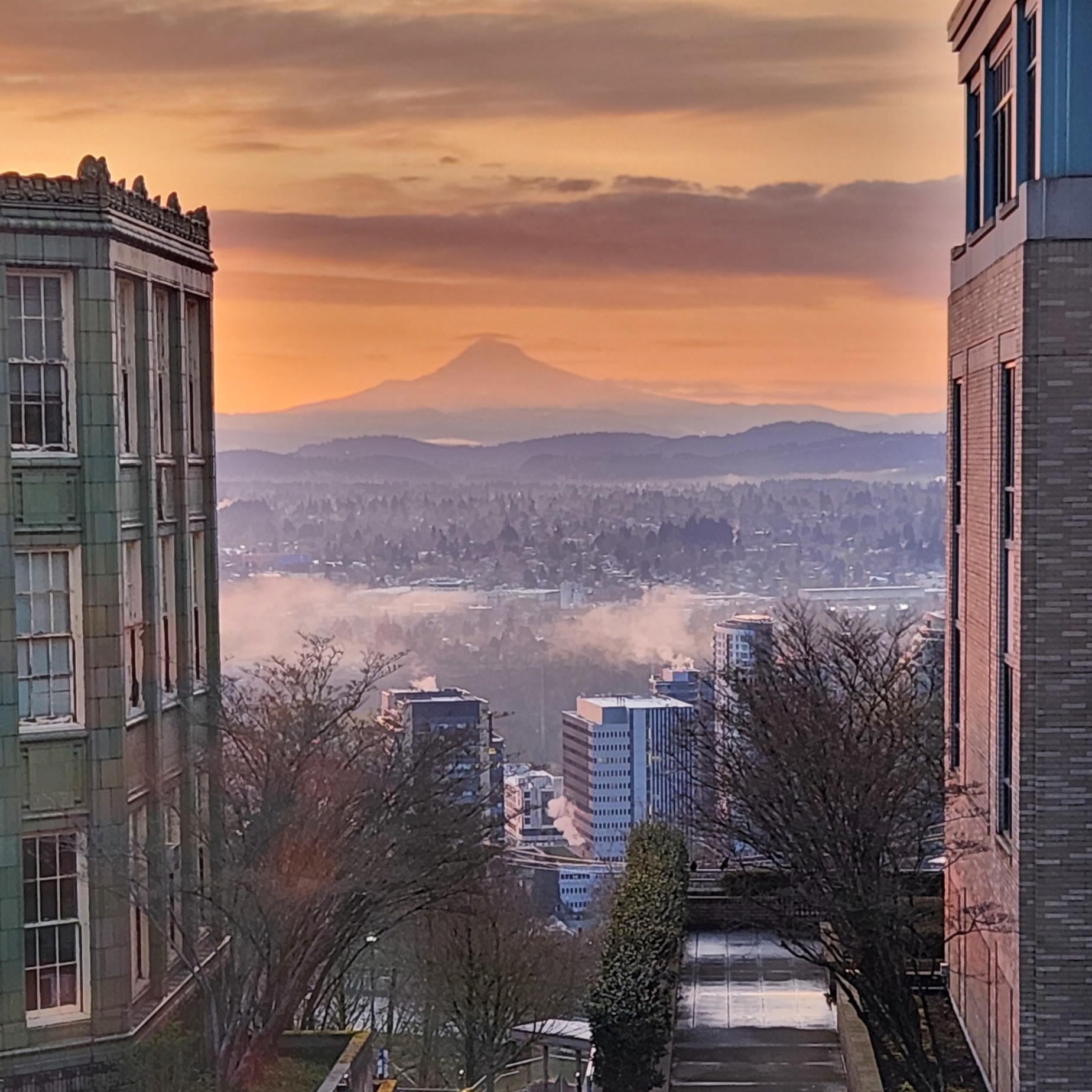 Earthquakes portland