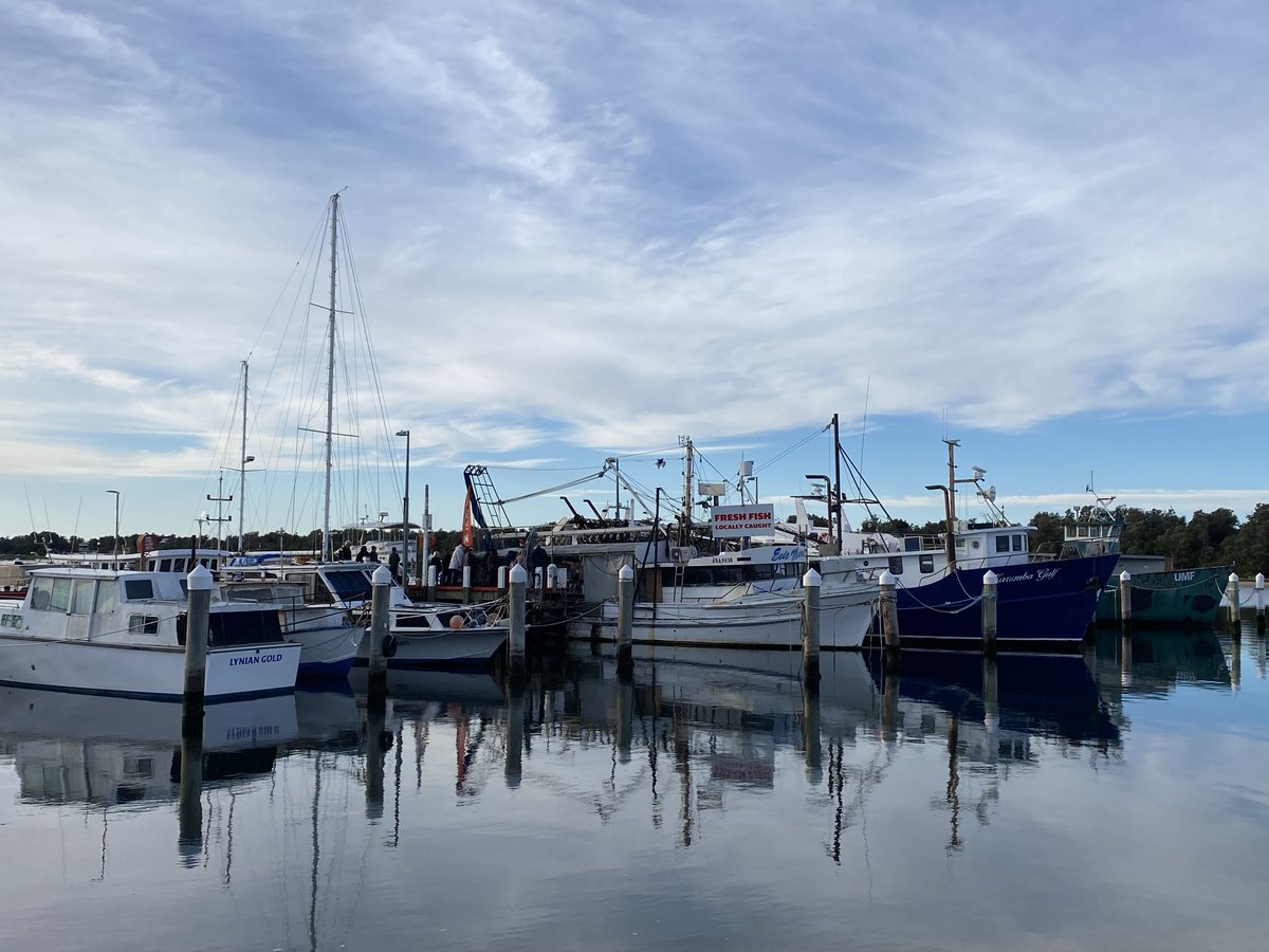 Stel on Twitter "Queuing up for fresh fish. Lakes Entrance."