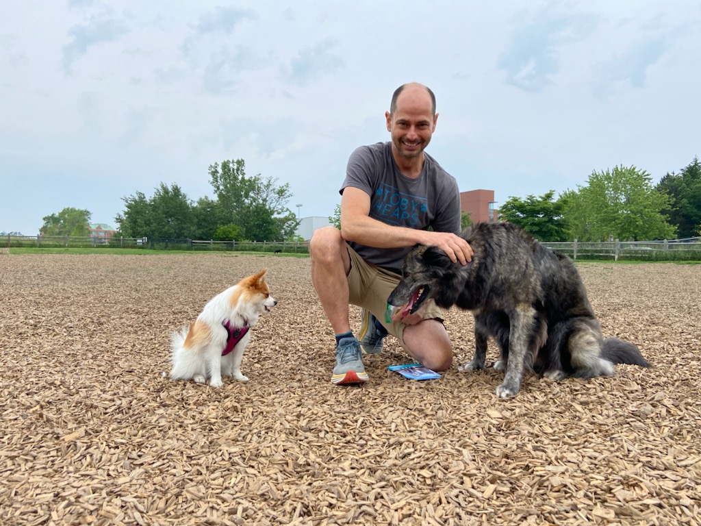 tobyheaps's tweet photo. Chipping away on the campaign trail to visit each of Toronto's 73 offleash dog parks @FOHBP and #samsmithpark https://t.co/PfEgIc5UIU