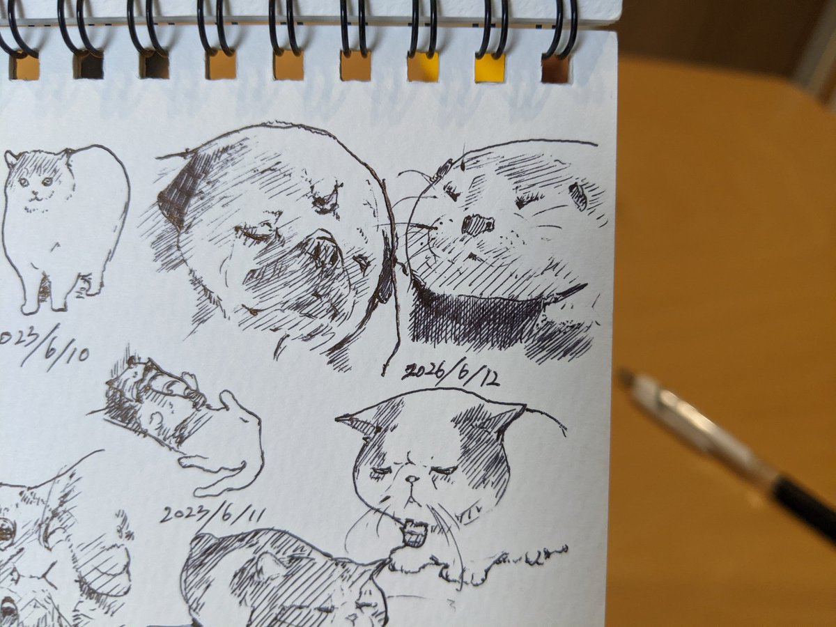 五月病にならず6月を迎え、油断していた皆さんへお疲れ様です。 カキカキ。 