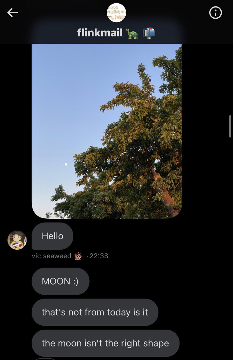 nocontextinkeys's tweet photo. 🌕🕵️ https://t.co/PjxMUhI3UL
