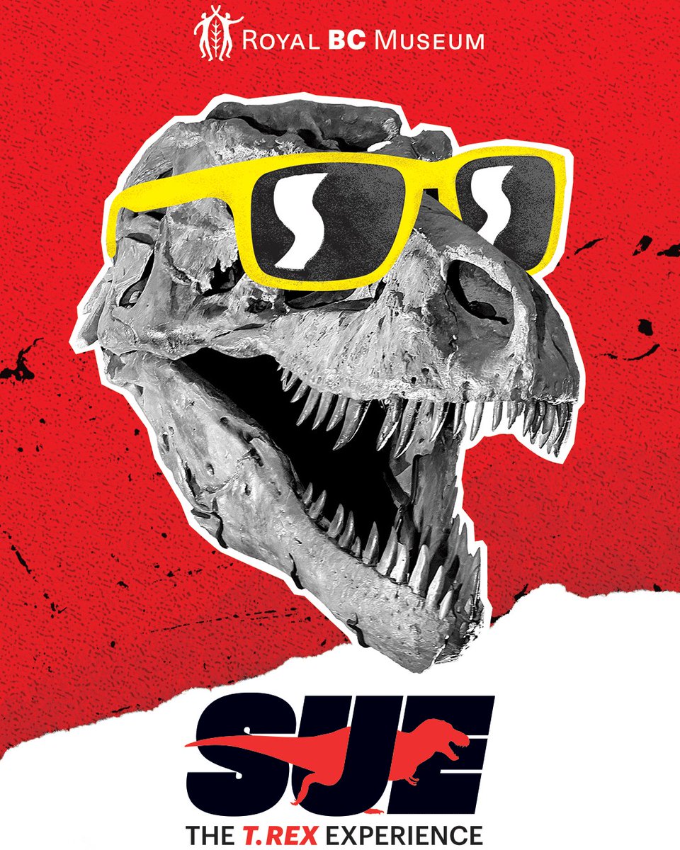 Sue: The T. rex Experience opens this week! Encounter the most complete T. rex ever found in this astounding exhibition coming to the Royal BC Museum. Explore the Cretaceous world that Sue the T. rex called home when Sue arrives at the Royal BC Museum Friday, June 16.