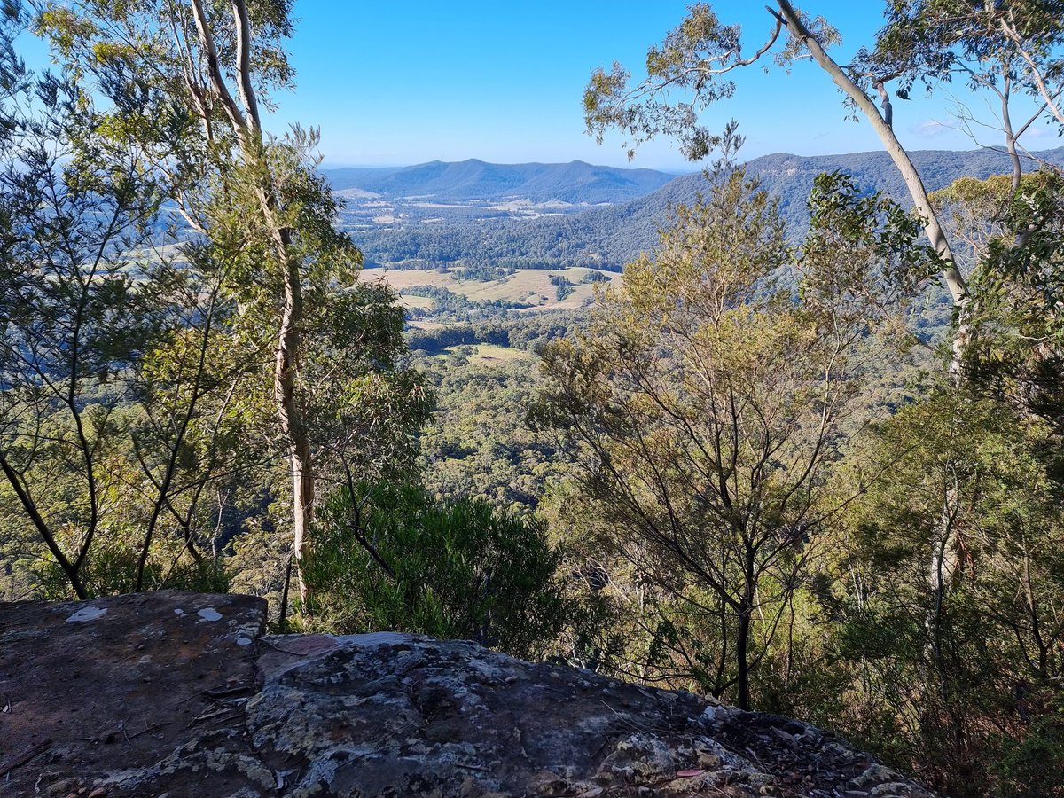 Our National Parks are stunning.  Checked out the Watagans yesterday. Some hiking trails allow dogs. So many Aussies riding, walking and sightseeing. No rubbish.  Full respect. I hope we can continue to use and they won't be closed due to Aboriginal claims. Vote NO. C'mon Aussie.