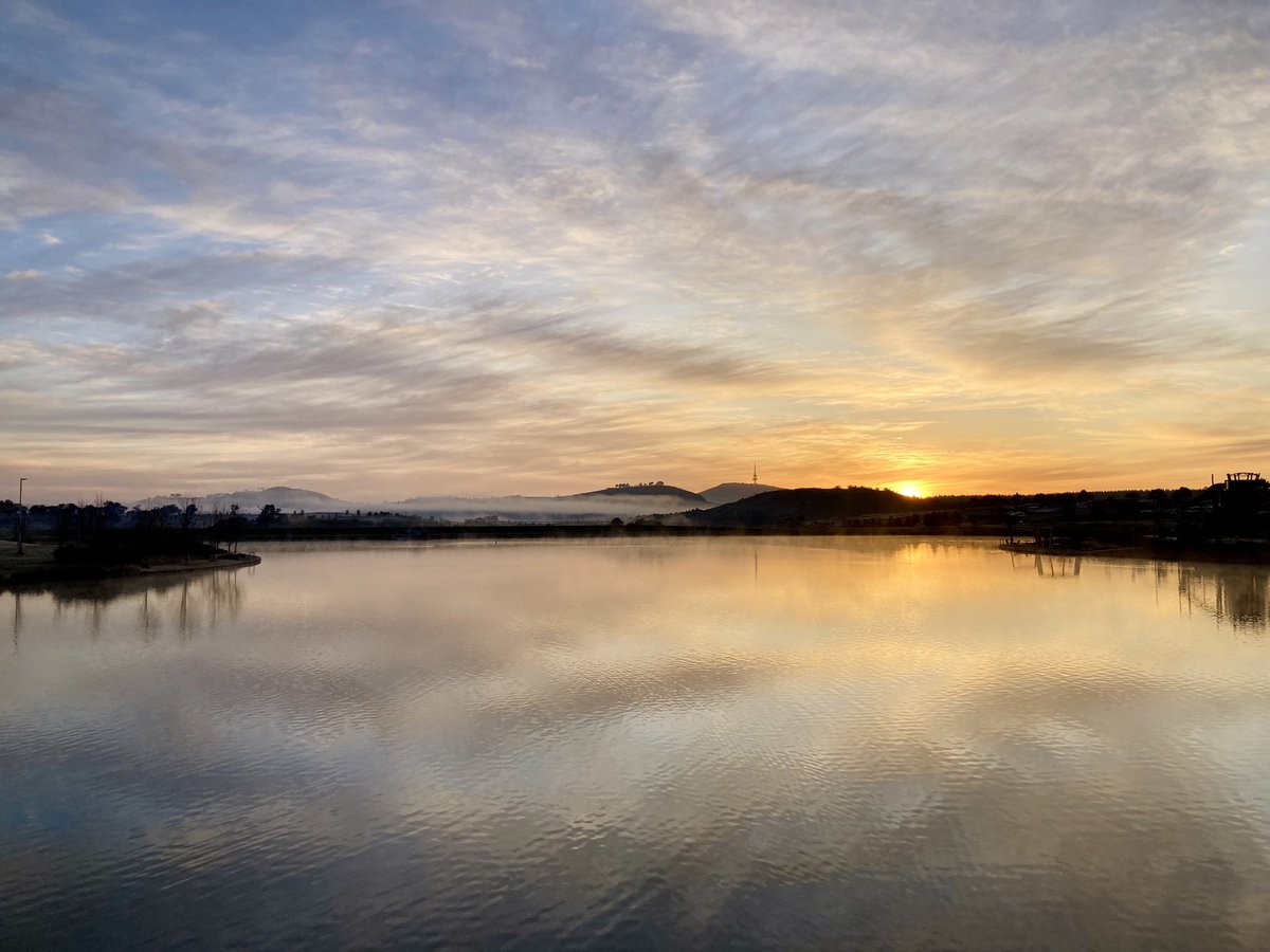 Dr Katie Grasha tweet media