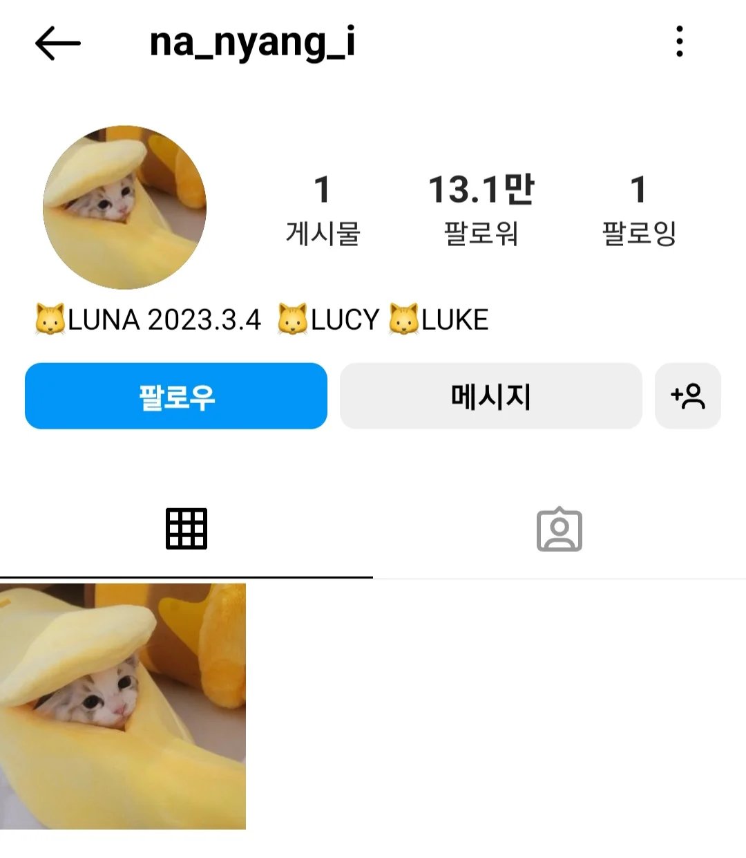 pannchoa-on-twitter-jaemin-adopts-3-cats-as-a-first-time-pet-owner