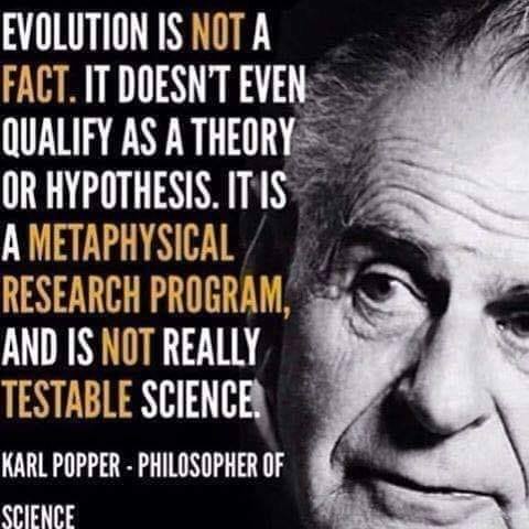 #Evolution #Science #Atheism #Christianity #Politics #Philosophy #KarlPopper #Bible #Genetics #Breeding #MRNA #DNA #Study #PeerReview #Discovery