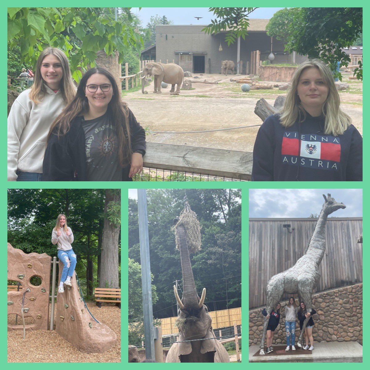 rcsdlibrarian's tweet image. A nice night for the RCSD Wellness Night @ the Seneca Park Zoo! 🦁 🐘 🐯 @RCSDNYS #RCSDZOOEVENT