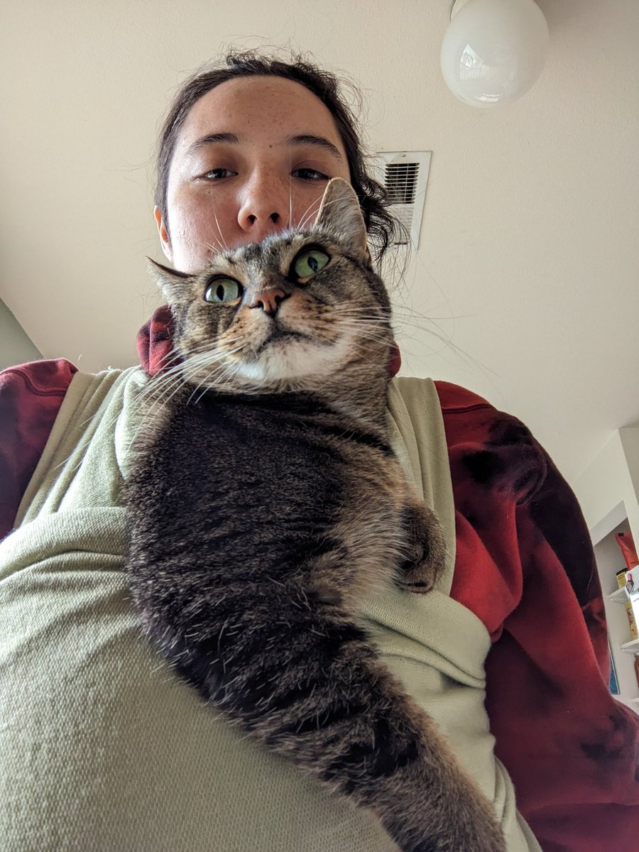 GoldenFelidae's tweet photo. @SHelmigh Mine is also a high demand snuggler. I finally got her a baby carrier because I couldn't spare the hands. I am not looking forward to the warmer weather... https://t.co/CC5FHkLSgg