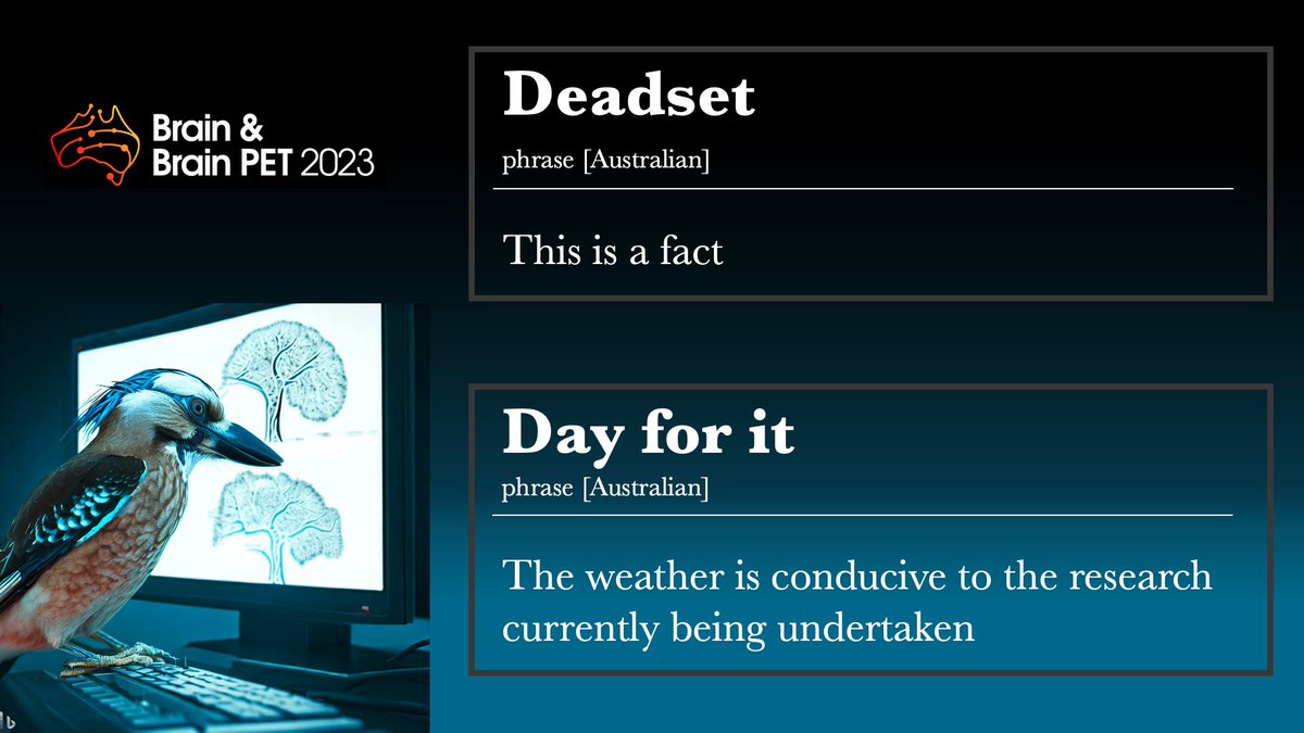 Another day, another #Aussie phrase that you might hear at the #BRAIN2023 #Brisbane meeting. - Deadset: This is a fact - Day for it: The weather is conducive for the activity currently being undertaken