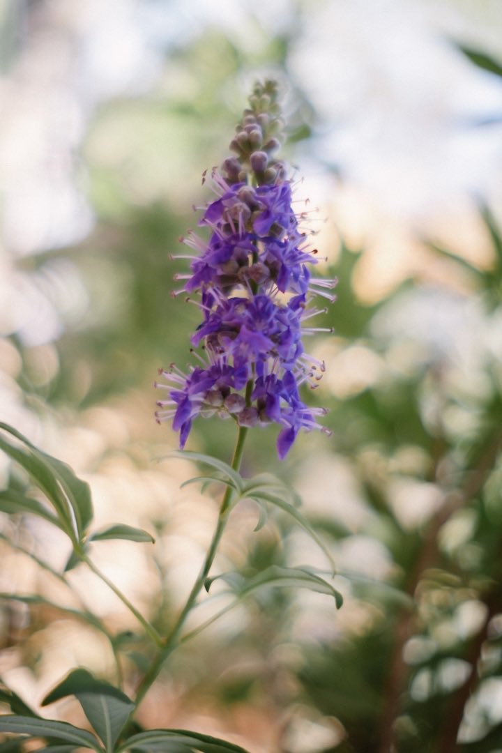 Sin Postal Photo (@mlphotograper) on Twitter photo 