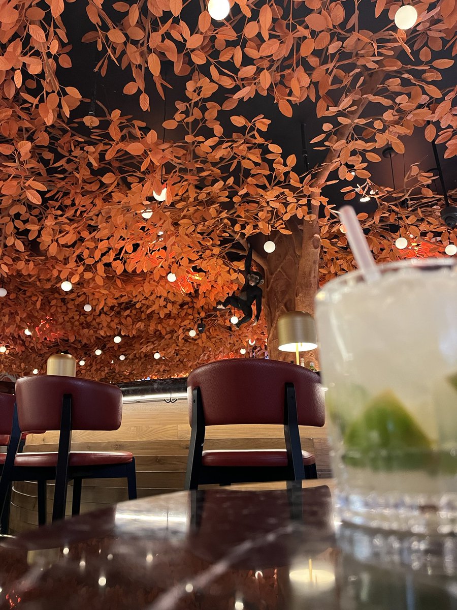 Sarah (@imsosarah) on Twitter photo I don’t always pick a hotel to be close to a certain restaurant but… <a href="/SUSHISAMBA/">SUSHISAMBA</a> at <a href="/PalazzoVegas/">The Palazzo at The Venetian Resort</a> is my favorite places in Vegas.
Yellowtail tiradito, king crab rolls, caipirinhas and this little monkey?
Yes please.
#shrm23 I don’t always pick a hotel to be close to a certain restaurant but… <a href="/SUSHISAMBA/">SUSHISAMBA</a> at <a href="/PalazzoVegas/">The Palazzo at The Venetian Resort</a> is my favorite places in Vegas.
Yellowtail tiradito, king crab rolls, caipirinhas and this little monkey?
Yes please.
#shrm23