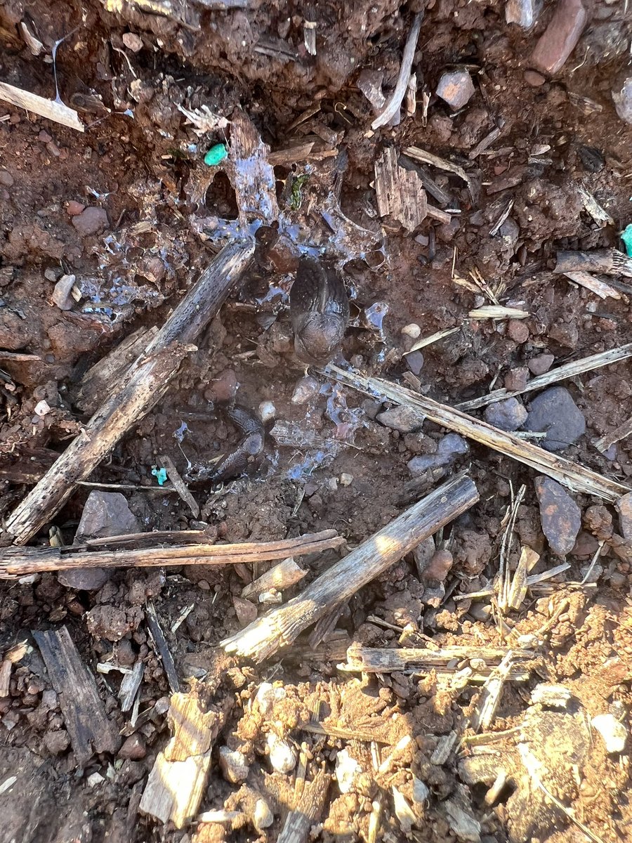 And they’re everywhere 😫