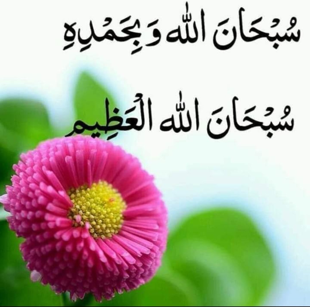 السلام علیکم و رحمۃ اللہ و برکاتہ
صبح بخیر زندگی❤️