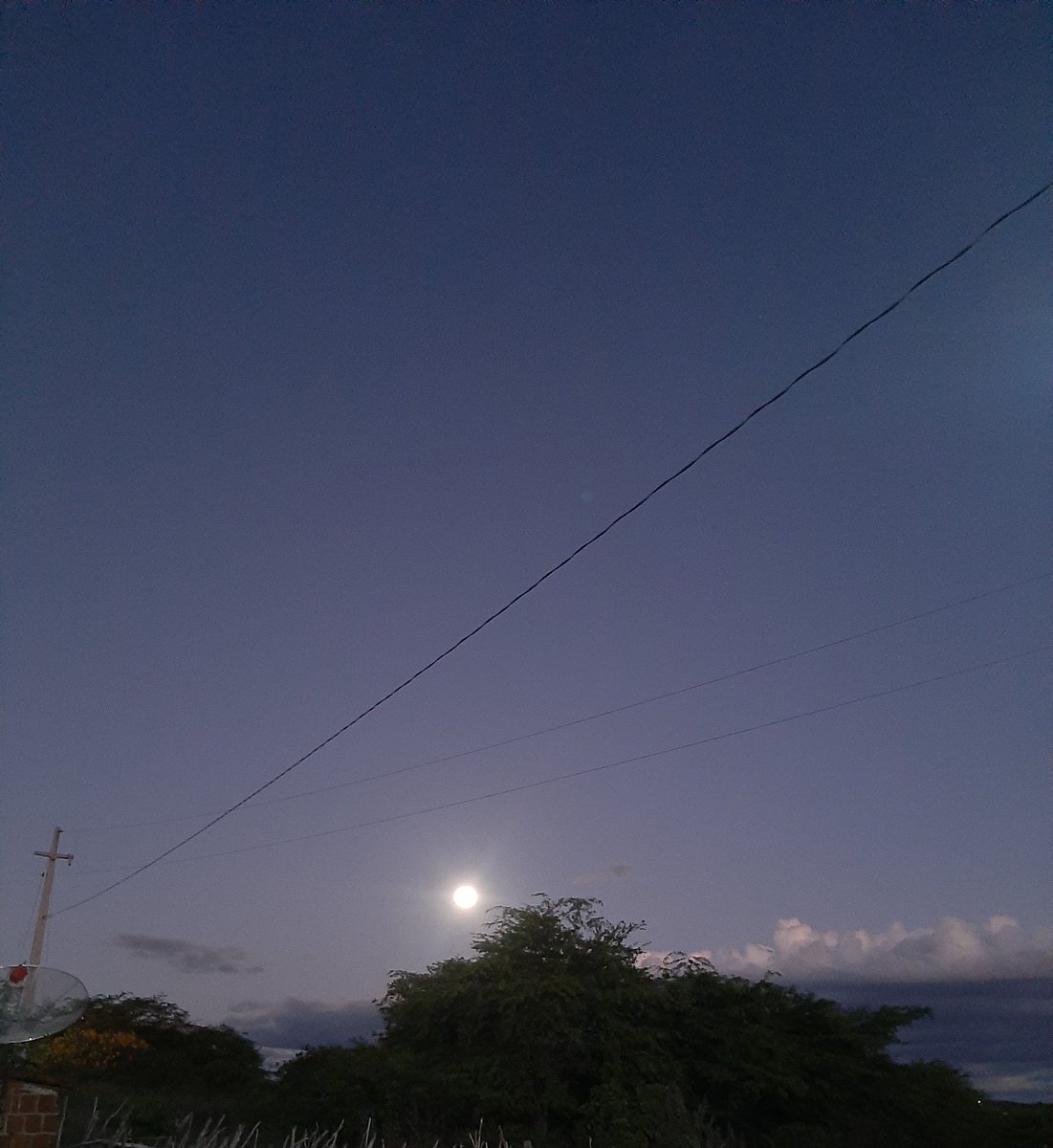 liberando icons/fotos da yves que eu tenho pra fazer uma limpinha na minha galeria 💐👋  — a thread