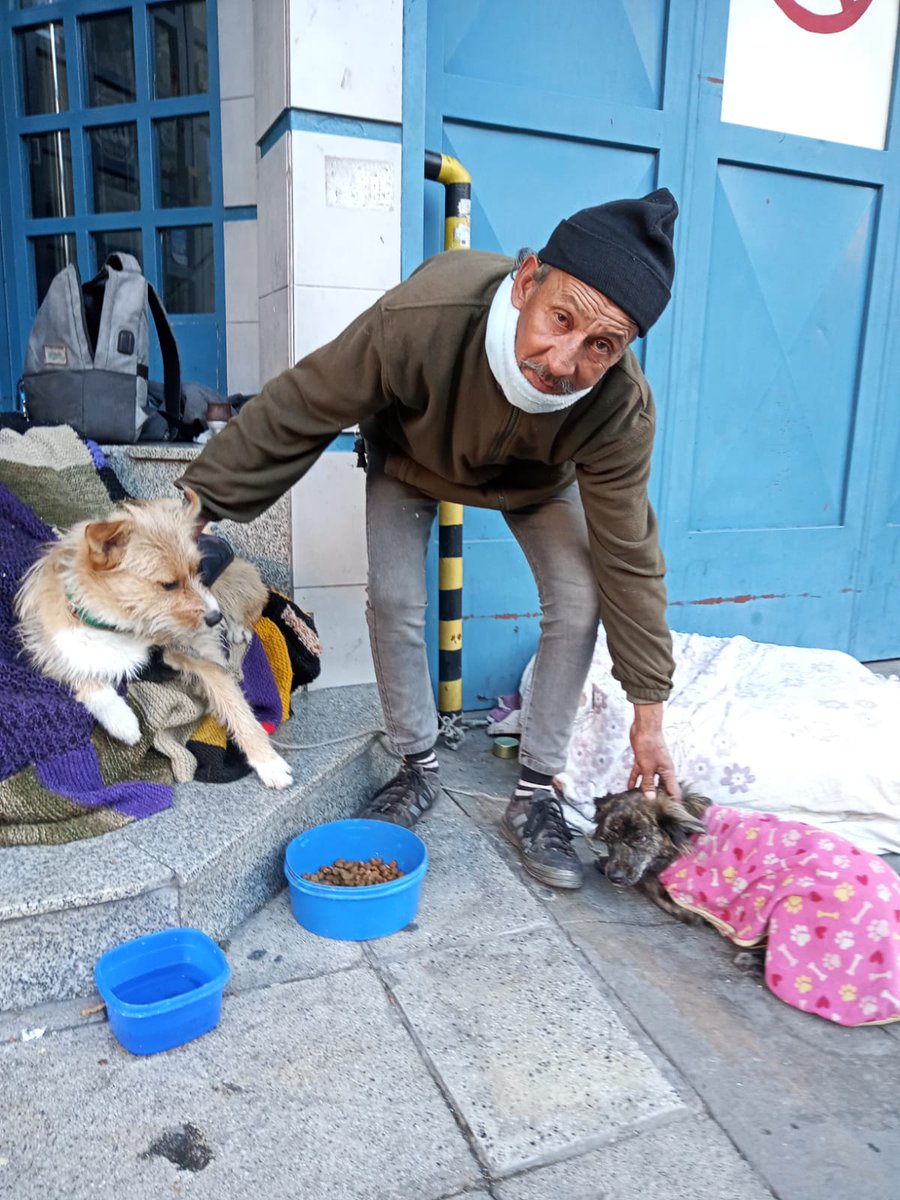 patripeyrou's tweet photo. Hola! Pido ayuda para estos dos perritos. Son un macho y una hembra. Los cuida un indigente que antes paraba en la puerta del Hospital Durand. Ahora está en Leopoldo Marechal entre Gandhi y . Beatriz 1164535550 https://t.co/2Ip93r7NYW