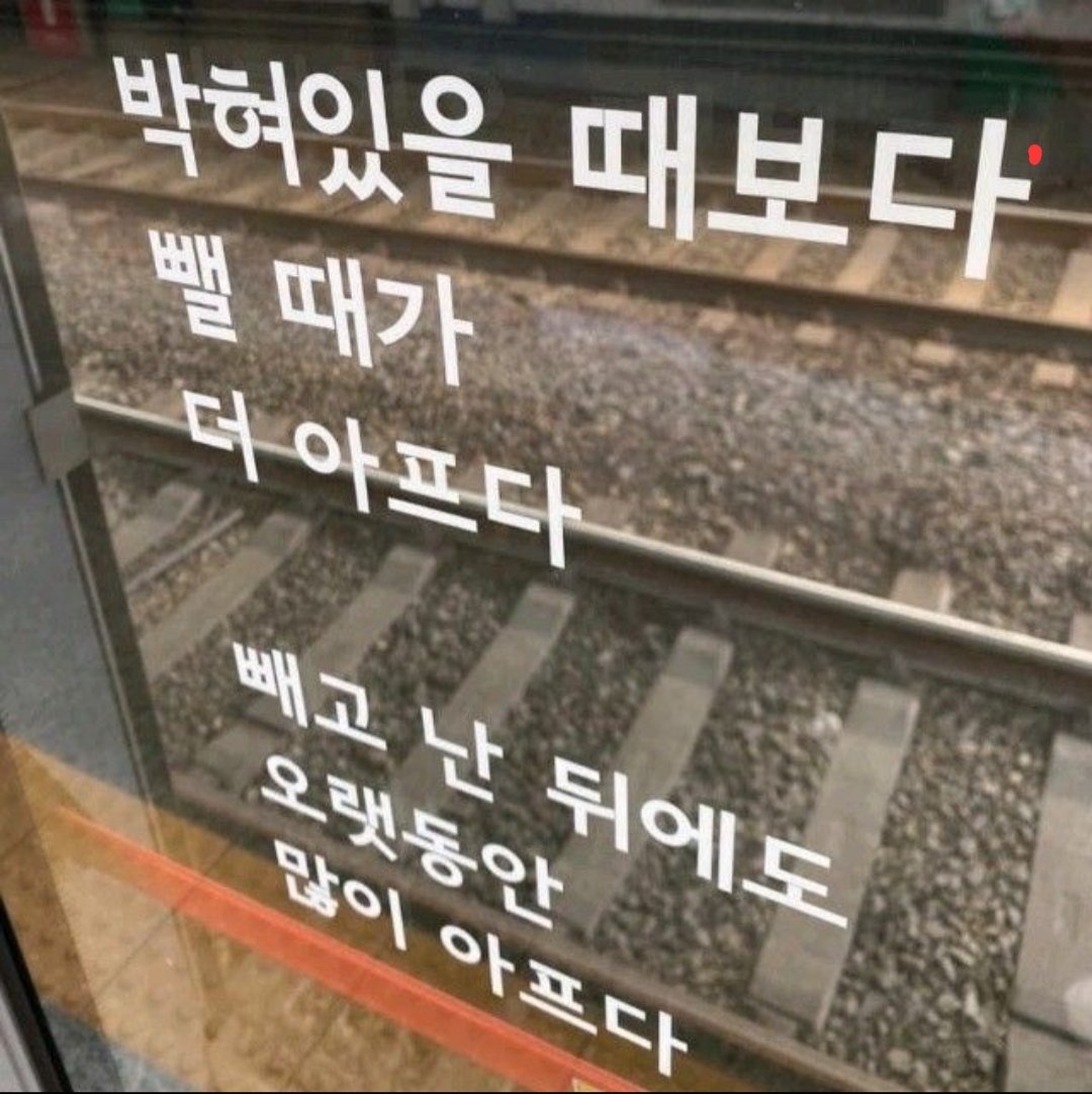 wv003147's tweet photo. 한참을 도킹 후 절정이 얼마남지 않은 순간,

"안에싼다"
"어 안에싸줘"

그렇게 나의 액은 평상시 조신해 보이는 
이미지와 다른 그녀의 몸 속 자궁에 가득
싸게되었고,
#섹트 #여선생 https://t.co/CWVTEJm6cR