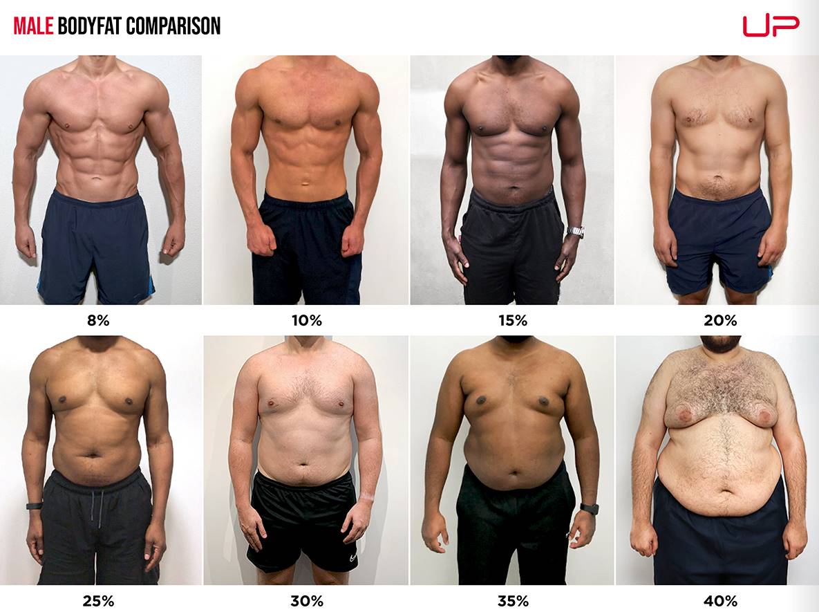 Compurgator15's tweet photo. @MrBeast Love the progress buddy but I think you’re mistaking BMI for body fat percentage. No way you were 40% body fat! I’ve been watching your vids from six years ago through today and you were never close to 40% BF! 40 BMI makes sense tho, especially bc you’re tall! https://t.co/9JFntBwiJT
