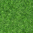 Maps/textures/suburb/suburb_grass.png