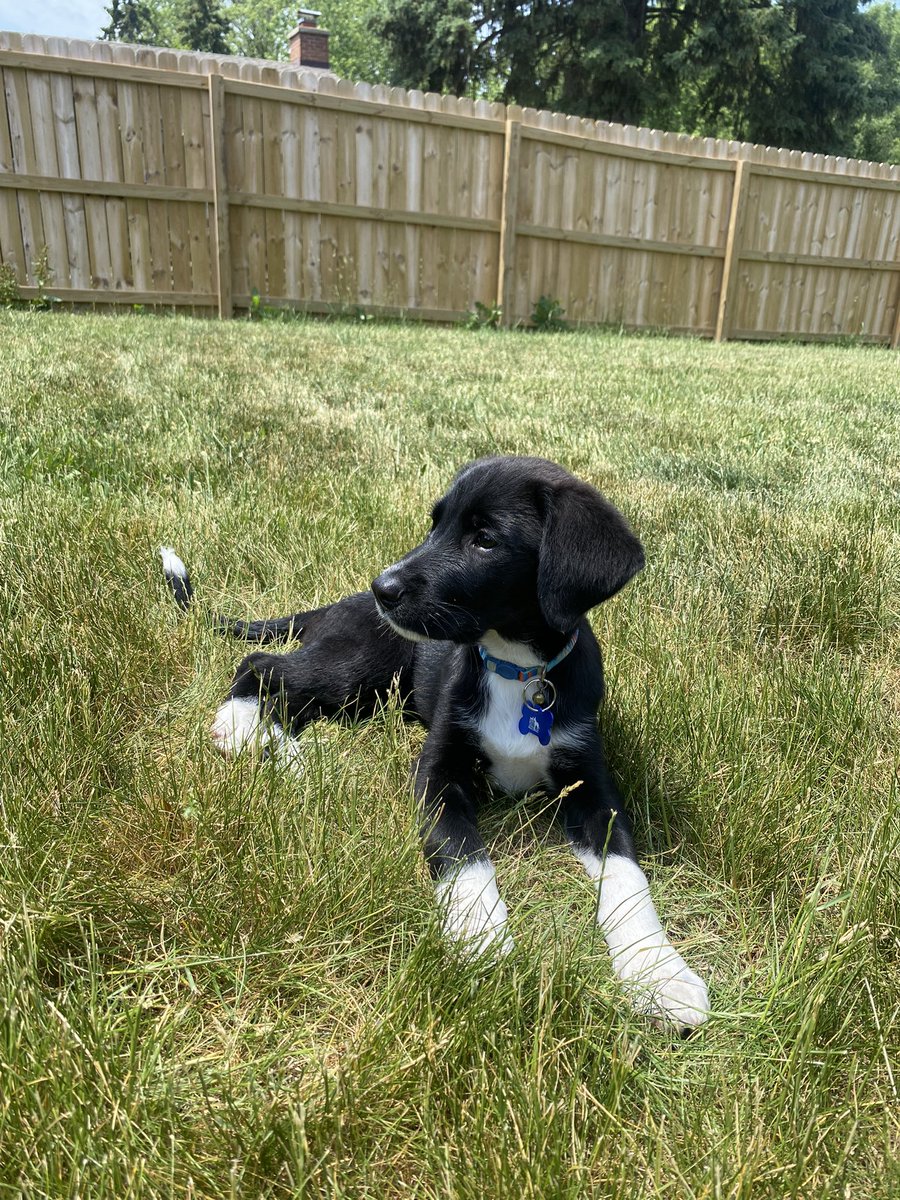 Miss Anderson tweet media