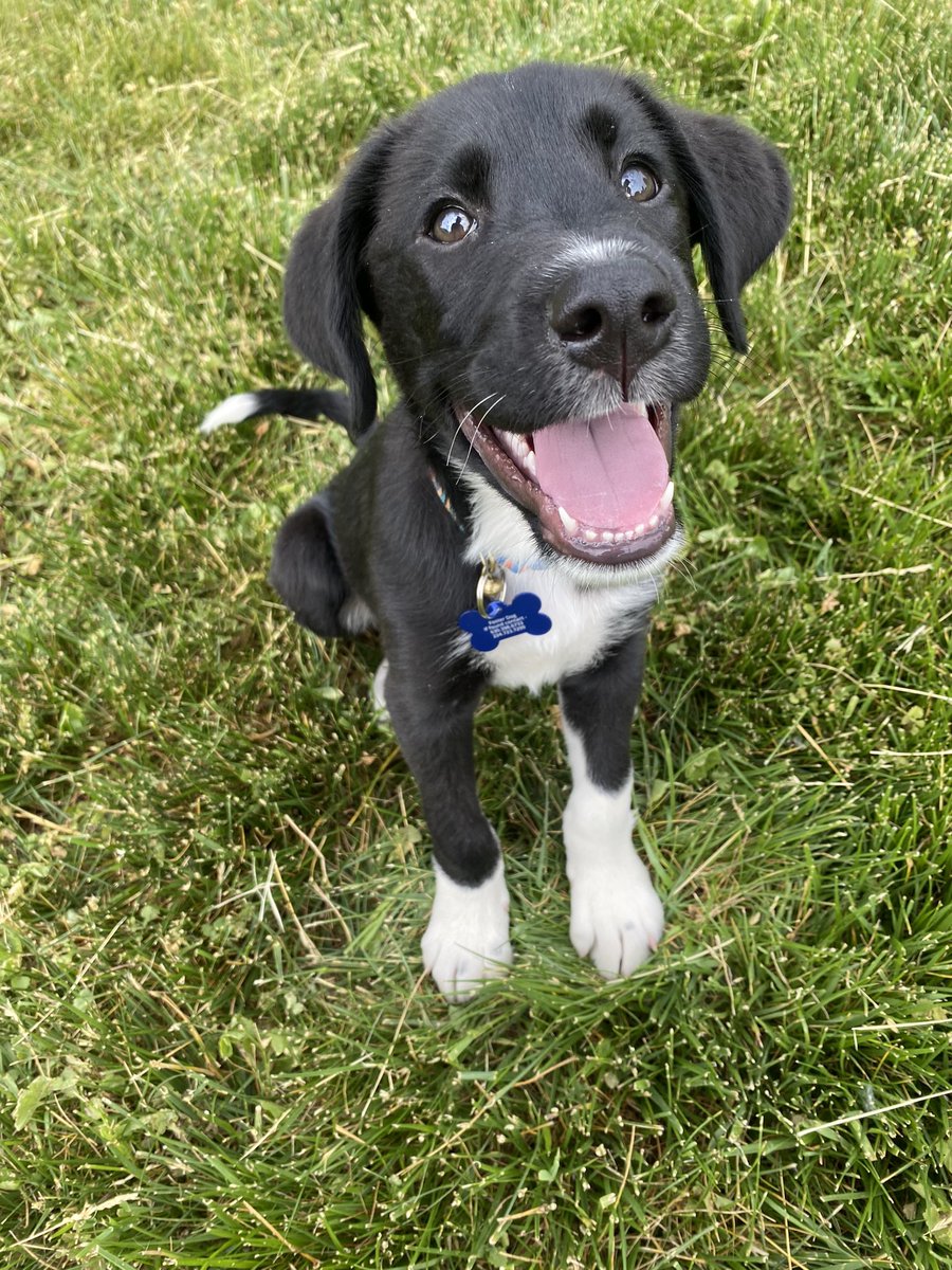 Miss Anderson tweet media