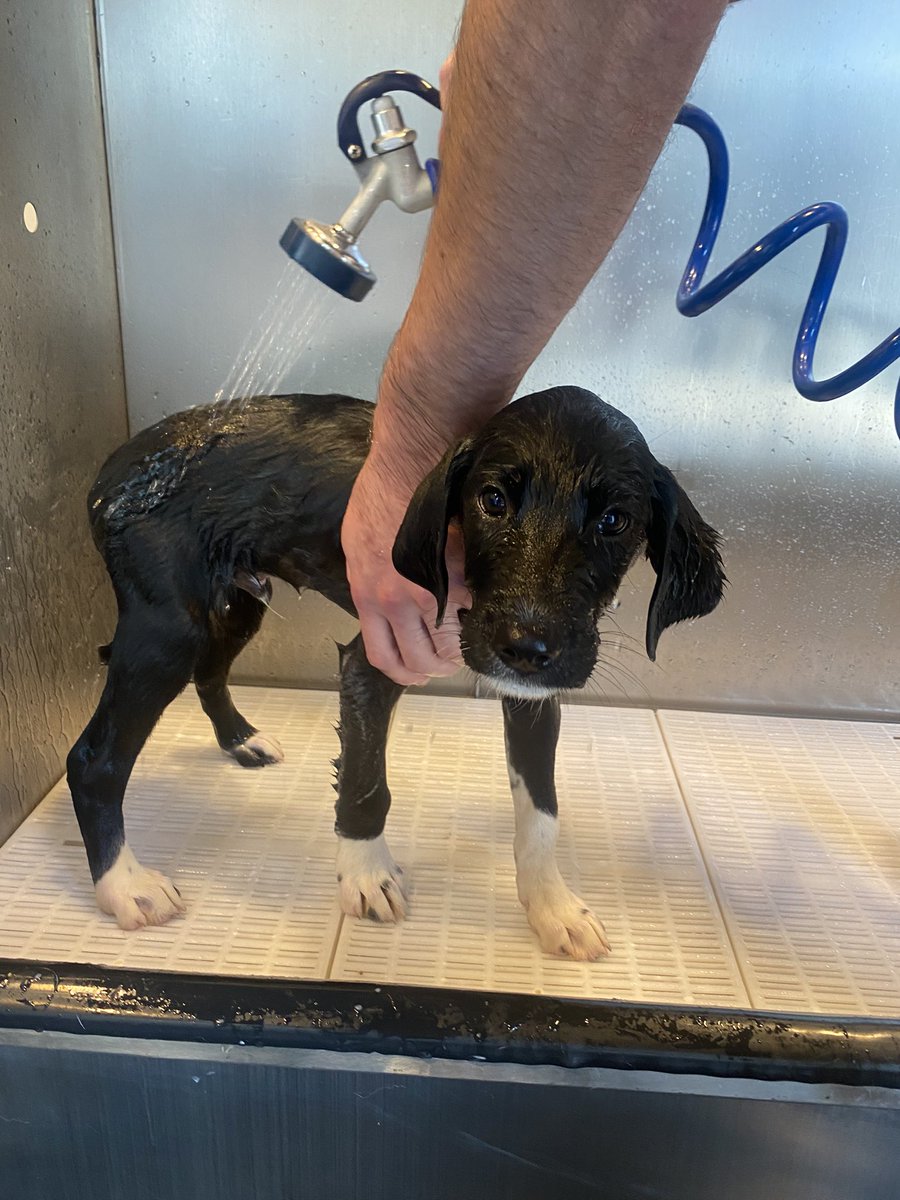 Miss Anderson tweet media