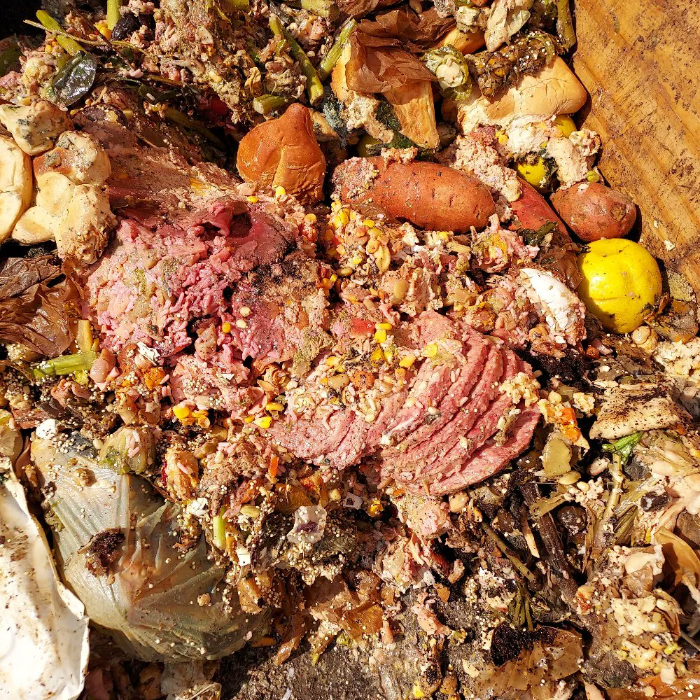 adkwormfarm's tweet image. Don't try this at home! Backyard #compost piles shouldn't include meat, as they  will likely attract pests you don't want. We can accept all of these items because as a commercial #composter, we have large enough piles and get them hot enough to deter pests and kill pathogens.