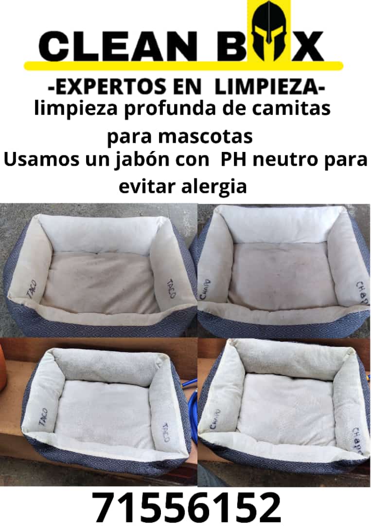 DianaV2512's tweet photo. Limpieza de todo tipo de muebles y superficies. Recomendados👌#cleanbox https://t.co/cdsg0Ckfal