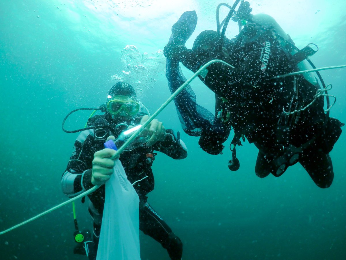 carlosmdq's tweet photo. Haciendo lo que me gusta 

#buceo #diving  #cienciaciudadana #oceanacidification https://t.co/DczljccjDb