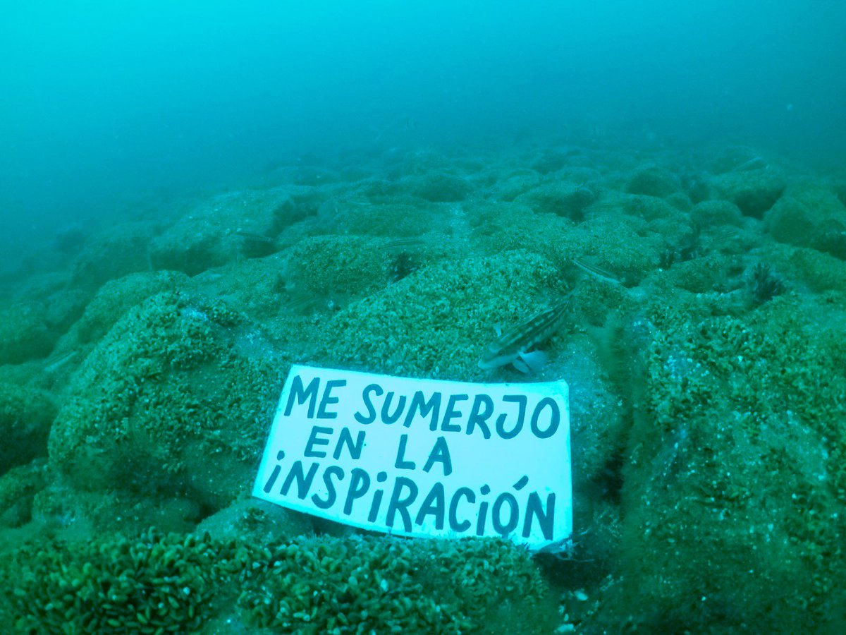 carlosmdq's tweet photo. Haciendo lo que me gusta 

#buceo #diving  #cienciaciudadana #oceanacidification https://t.co/DczljccjDb