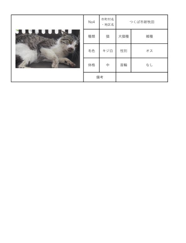 茨城県動物指導センターで保護している、迷子の犬猫の公表情報です。🐕🐈
お心当たりの飼い主様は動物指導センターにお電話ください‼️
動物指導センター
☎︎0296-72-1200(受付時間：平日8:30〜17:15)

6月9日(金) 公表情報