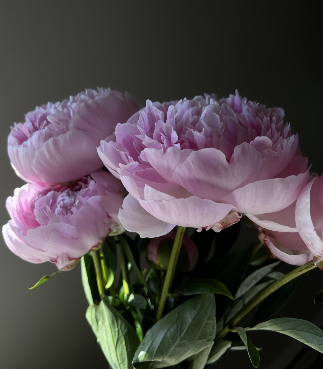 I don’t know if I will sell my new works, but I will definitely show them! I hope you will appreciate it📸

#soon #photographylovers