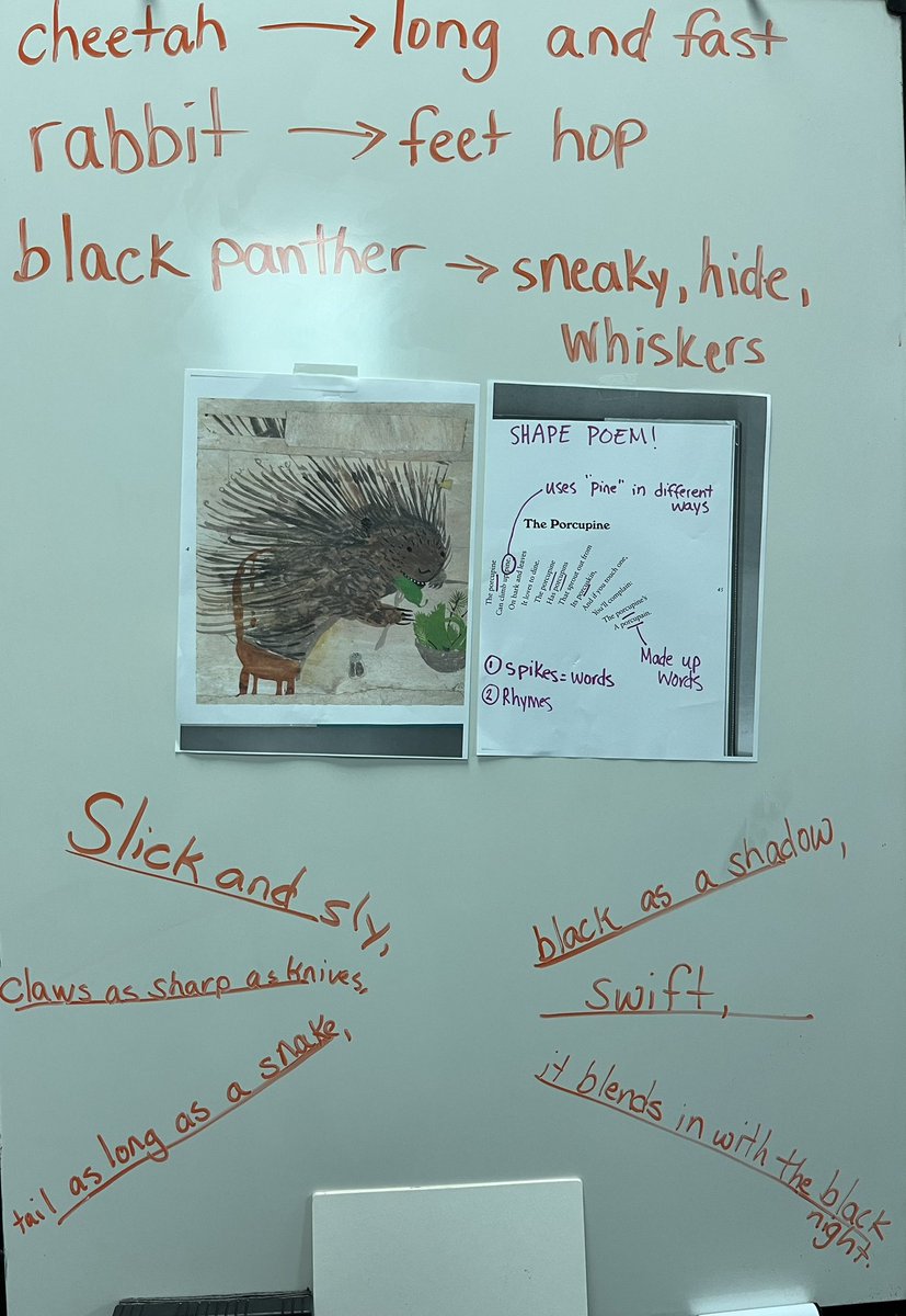 Broughton3rd4th's tweet photo. Here are some more poetic snapshots from 3/4➡️

#Mammalabalia by Douglas Florian &amp;  @amylvpoemfarm are our mentors as we wrap up our writing year. https://t.co/eW0iuFwMnZ