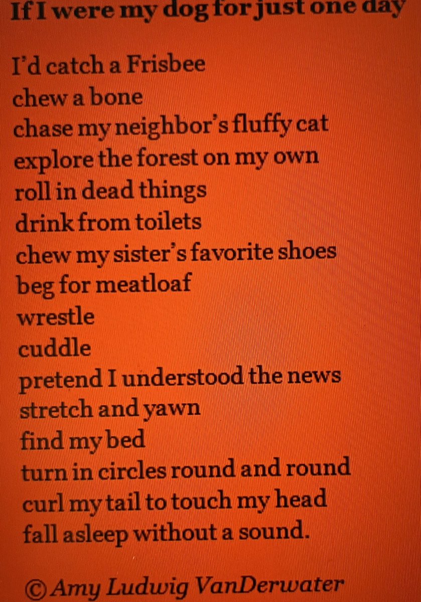 Broughton3rd4th's tweet photo. Here are some more poetic snapshots from 3/4➡️

#Mammalabalia by Douglas Florian &amp;  @amylvpoemfarm are our mentors as we wrap up our writing year. https://t.co/eW0iuFwMnZ