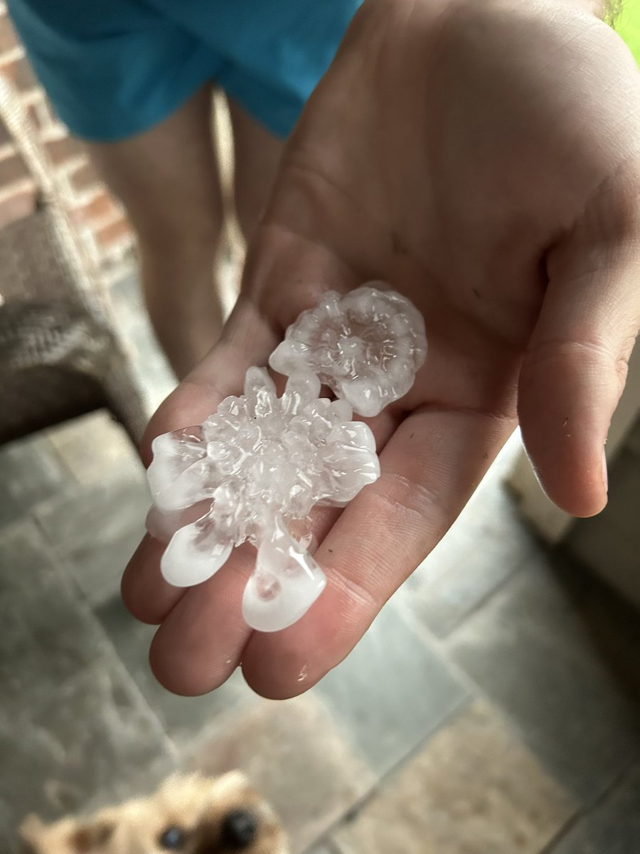 lconrad7's tweet photo. @wfaaweather Hail in Rockwall https://t.co/JnTPmHt6oo