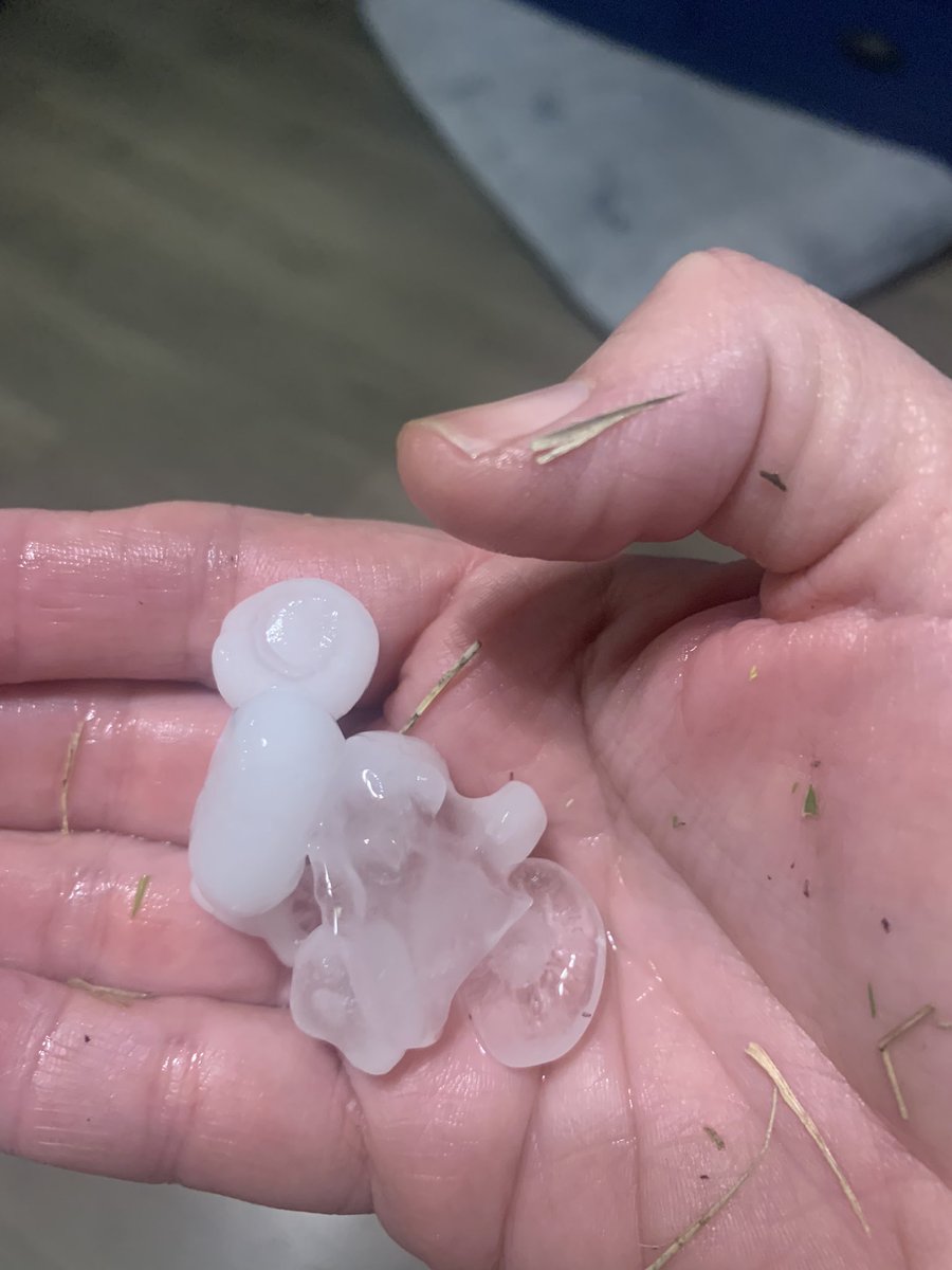 Kelly Meagher tweet media